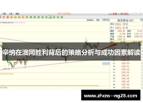 辛纳在澳网胜利背后的策略分析与成功因素解读