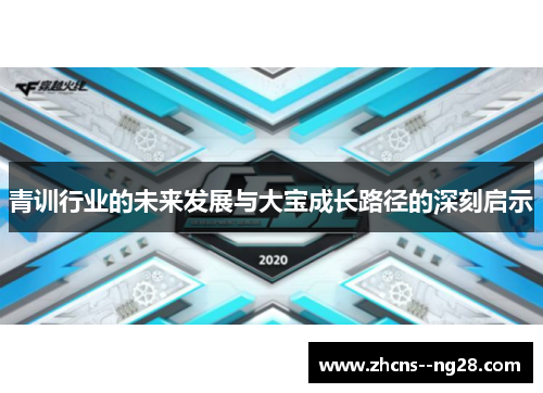 青训行业的未来发展与大宝成长路径的深刻启示